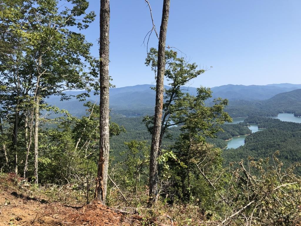 Other - Fontana Trace lot: 80, Almond, NC