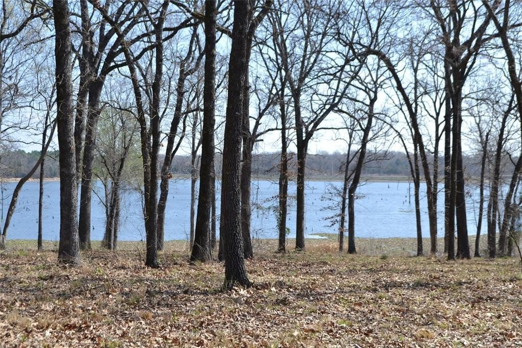 Plots and Land - Lot 13 Angler Shores Drive, Yantis, TX
