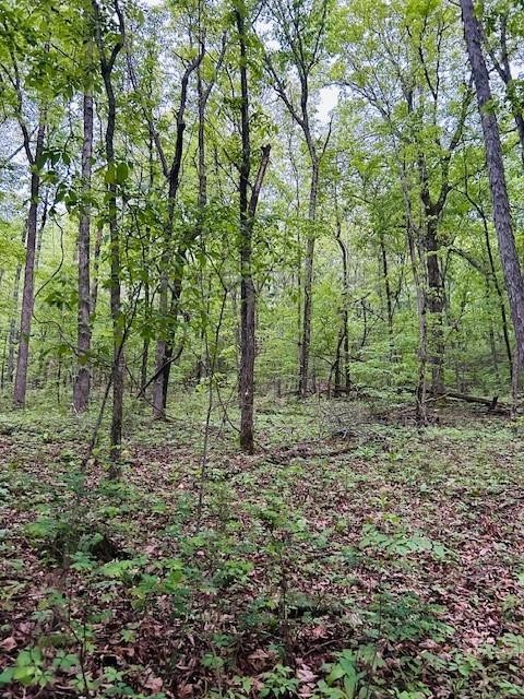 Tract E Madison CR 5450