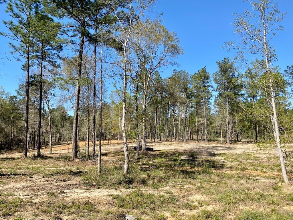 Other - 10 Monarch Circle, Carriere, MS