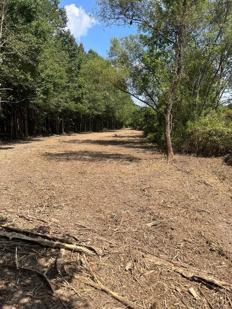 Other - TBD George Boutwell Road, Ovett, MS