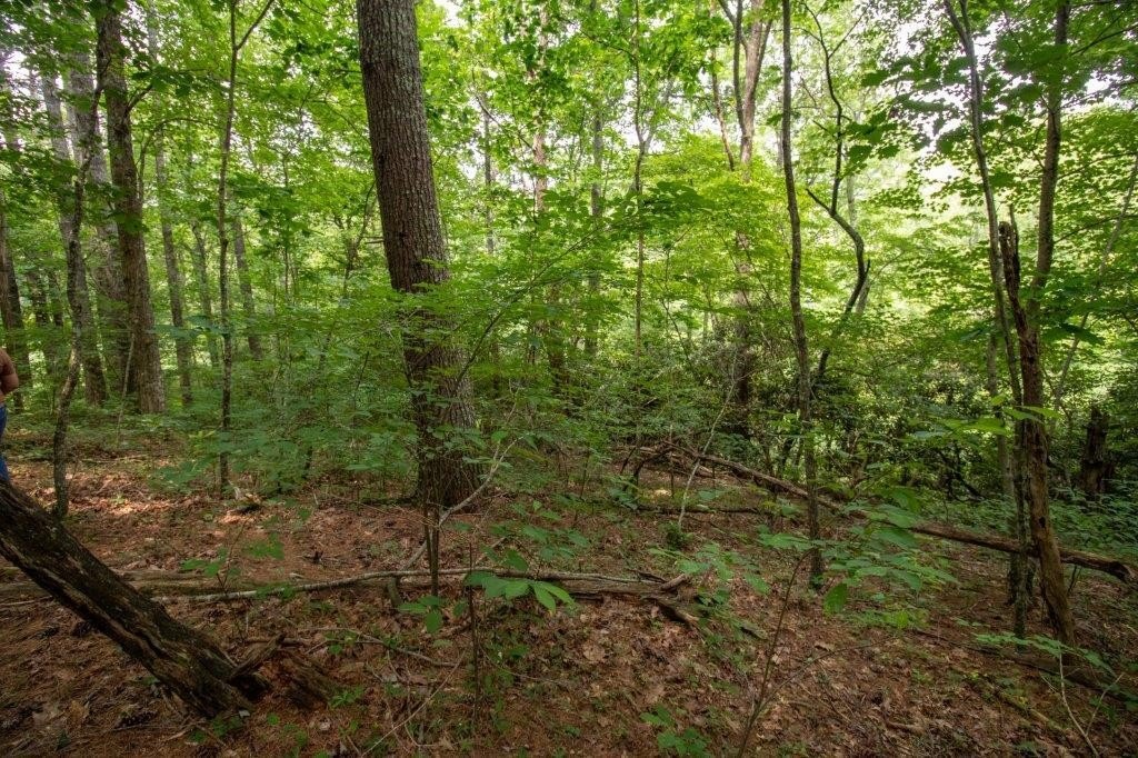 Lot 28 Manor House Dr  