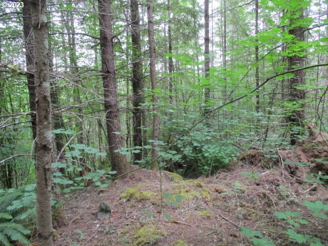 Other - Gruber N Rd, Estacada, OR