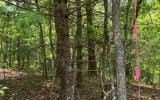 Other - Ashlyn Court, Morganton, GA