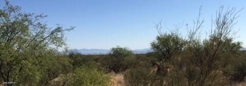 Tbd AZ Hwy 90 --  