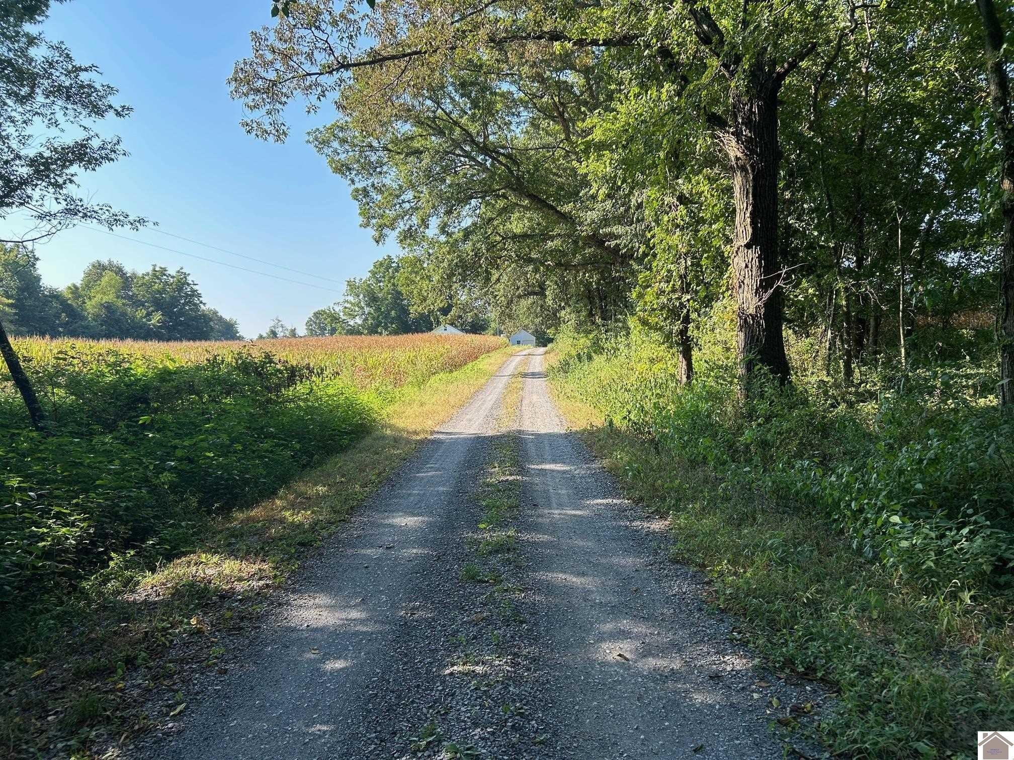 Other - 0 Arnett Lane Tract B, Murray, KY