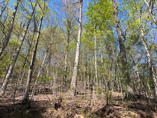 Other - Lot 2b Grandview Drive, Hayesville, NC