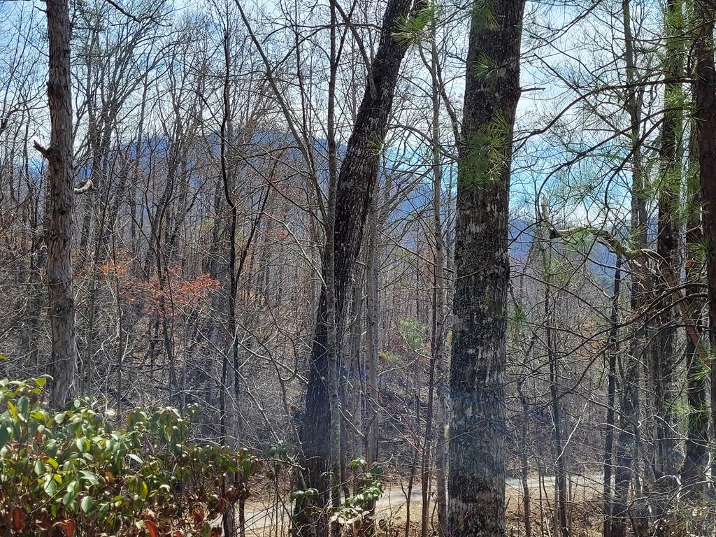 Other - 14 Flaming Ridge lot: 14, Hayesville, NC