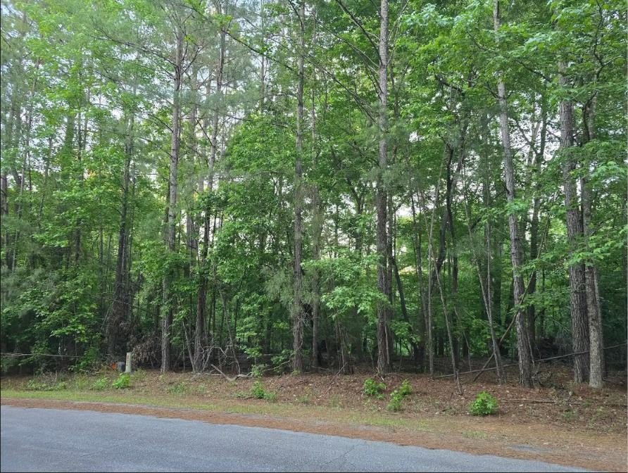Single Family - L25, B65 Crescent Drive, McCormick, SC