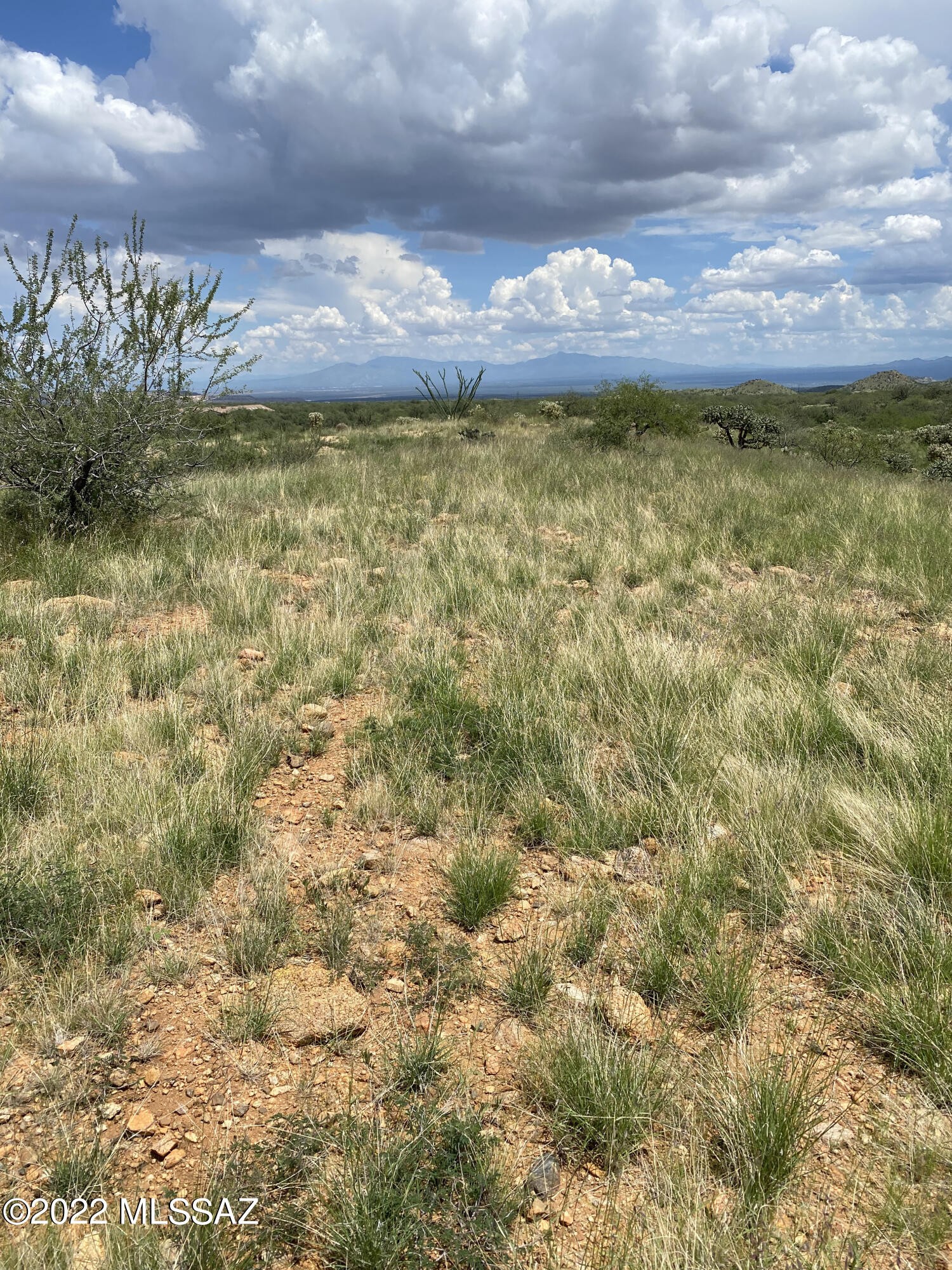 18645 S Bonanza Gold Dr  