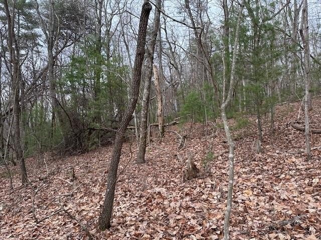 Other - Lot 9 Marjorie Avenue, Ellijay, GA
