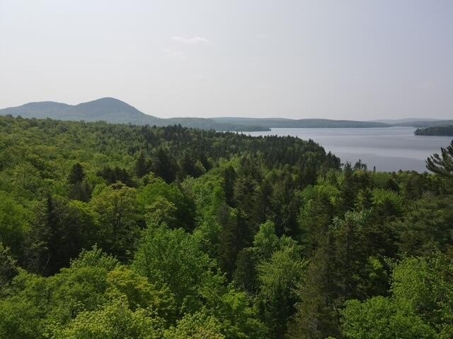 Other - Scammon Road lot: 1, Greenville, ME