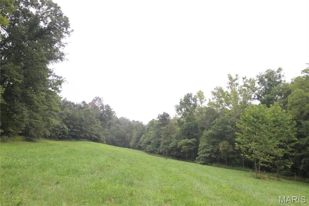 Other - 65 +/- Acres Pendleton Lost Creek Road, Warrenton, MO
