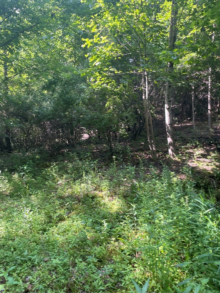 Other - 00 Hidden Lakes Road, TOPTON, NC