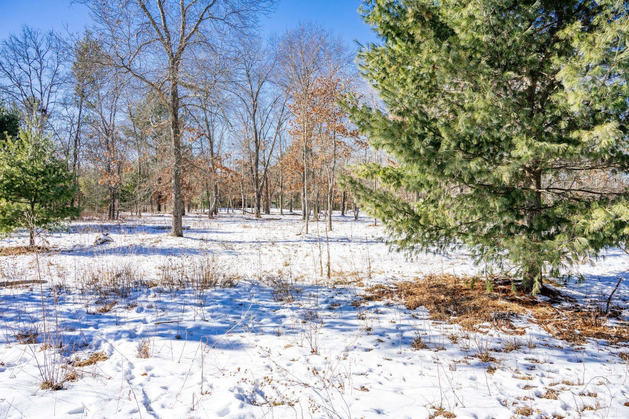 Other - N9340 22nd Avenue, Necedah, WI