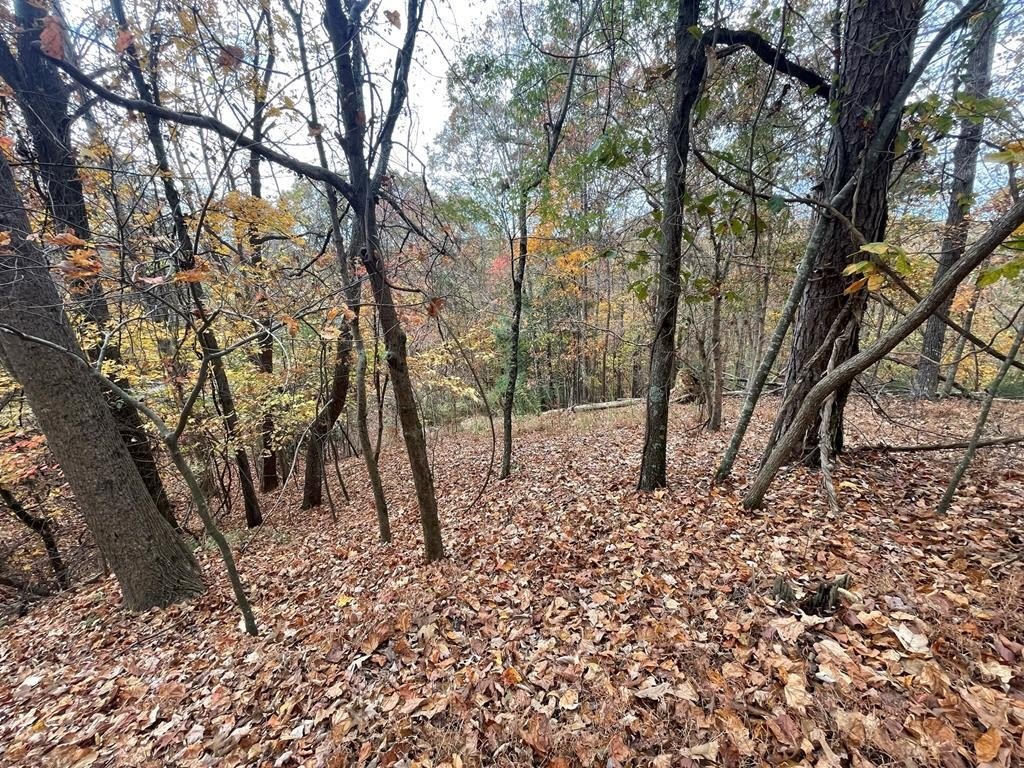 Other - Cherokee Court lot: 468, Ellijay, GA