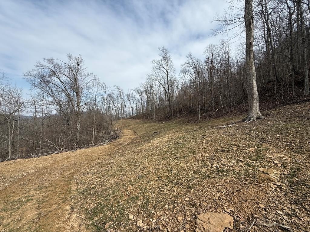 Single Family 4BR 2BA - 270 Hannah Fork, Hager Hill, KY