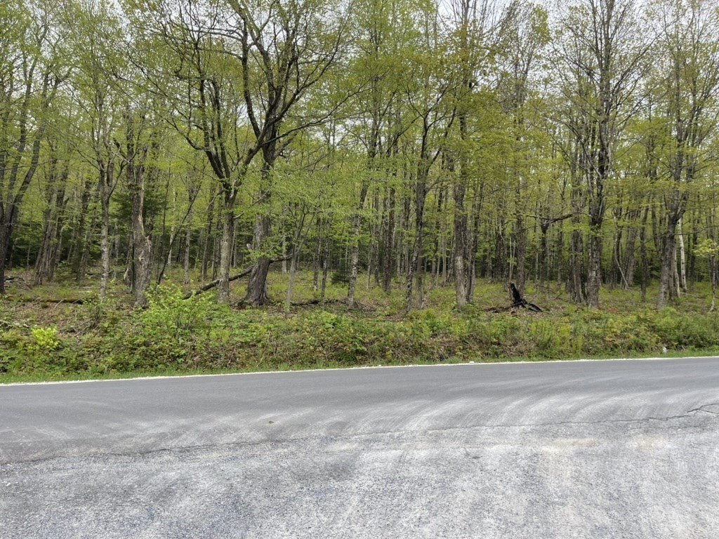 Other - 174 Tilda Hill Rd, Florida, MA