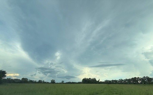 Plots and Land - MAYO RD, Lake City, FL