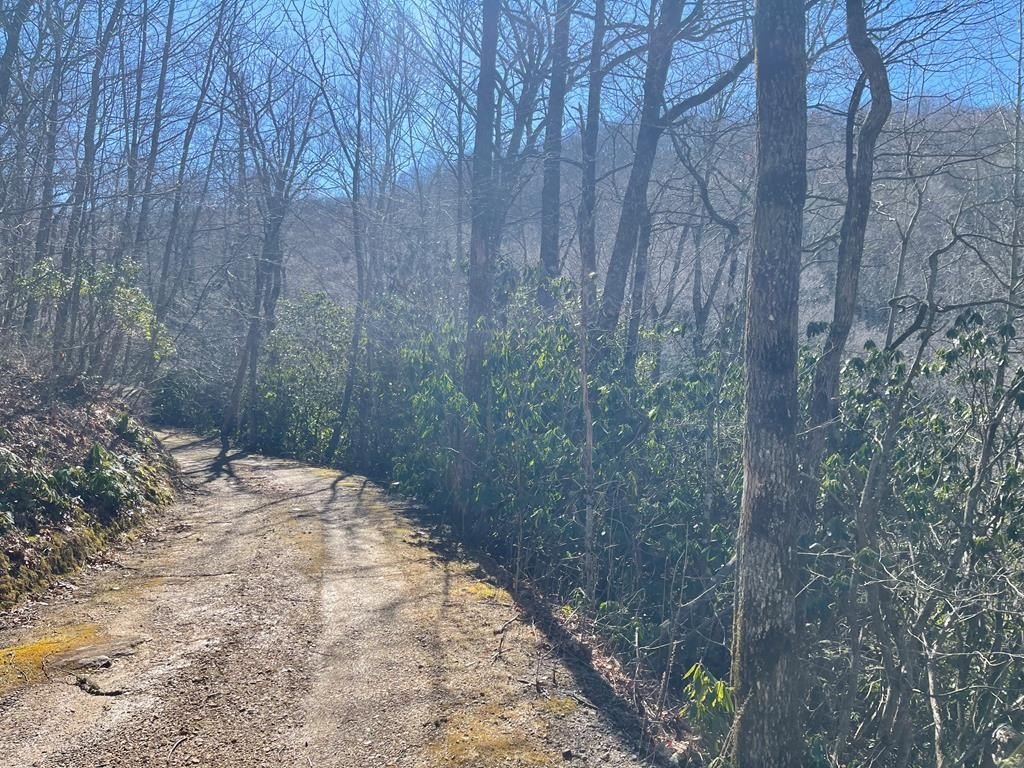 Other - Walnut Gap Rd lot: 63, Cullowhee, NC