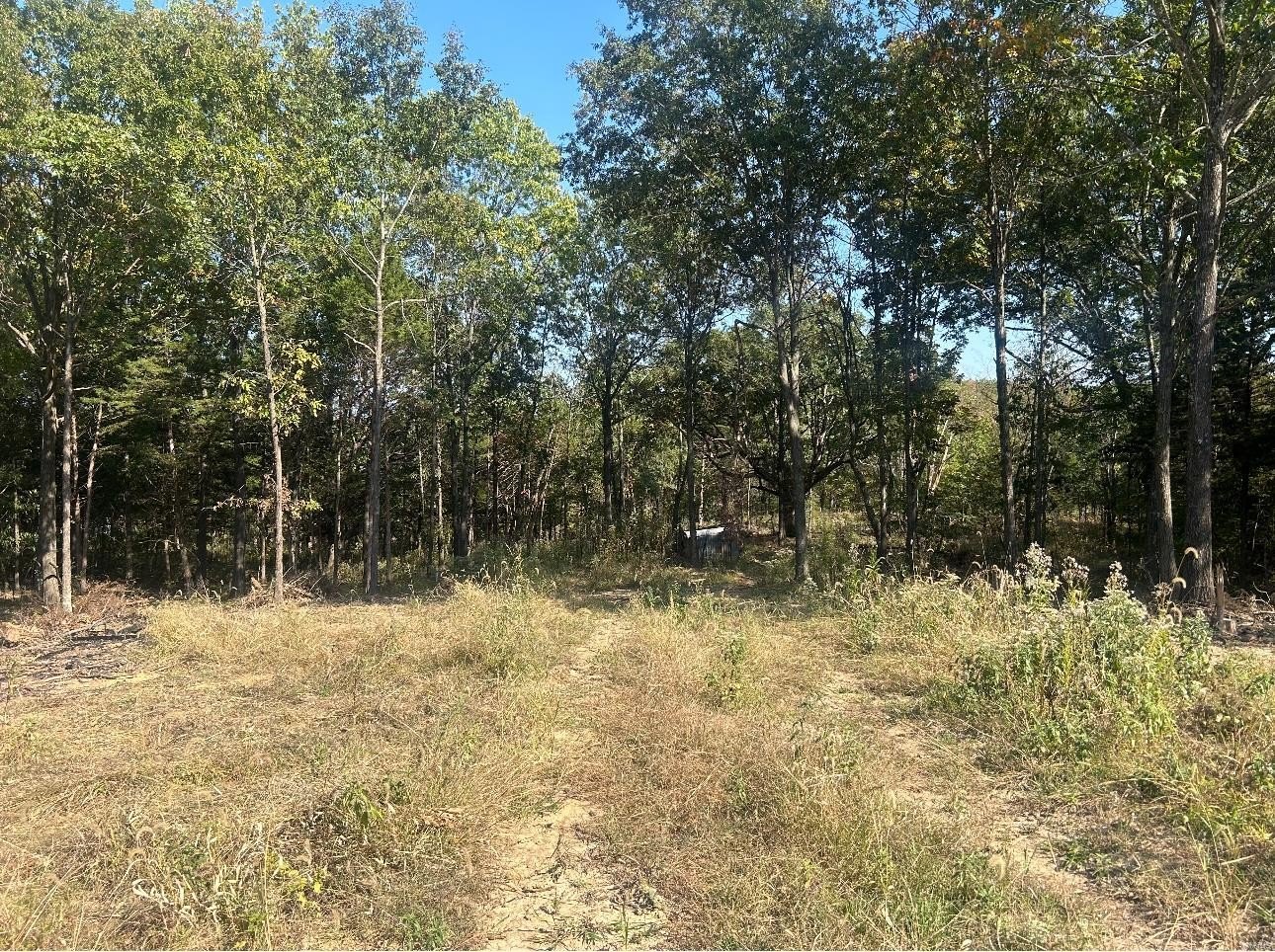 Other - 0 Lot #31 Fawn Hollow Court, Foristell, MO