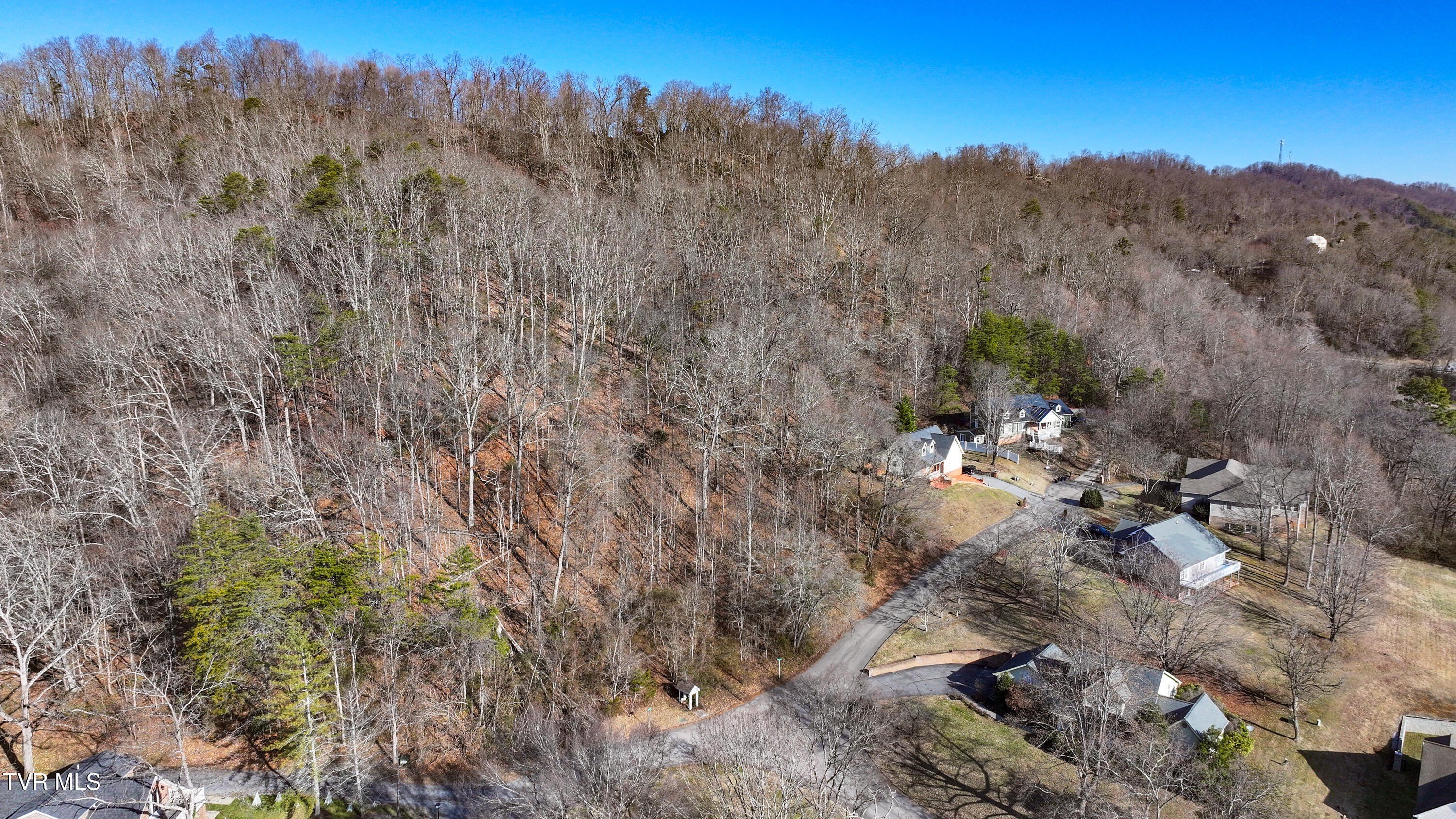 Other - Spindletop Drive, Rogersville, TN