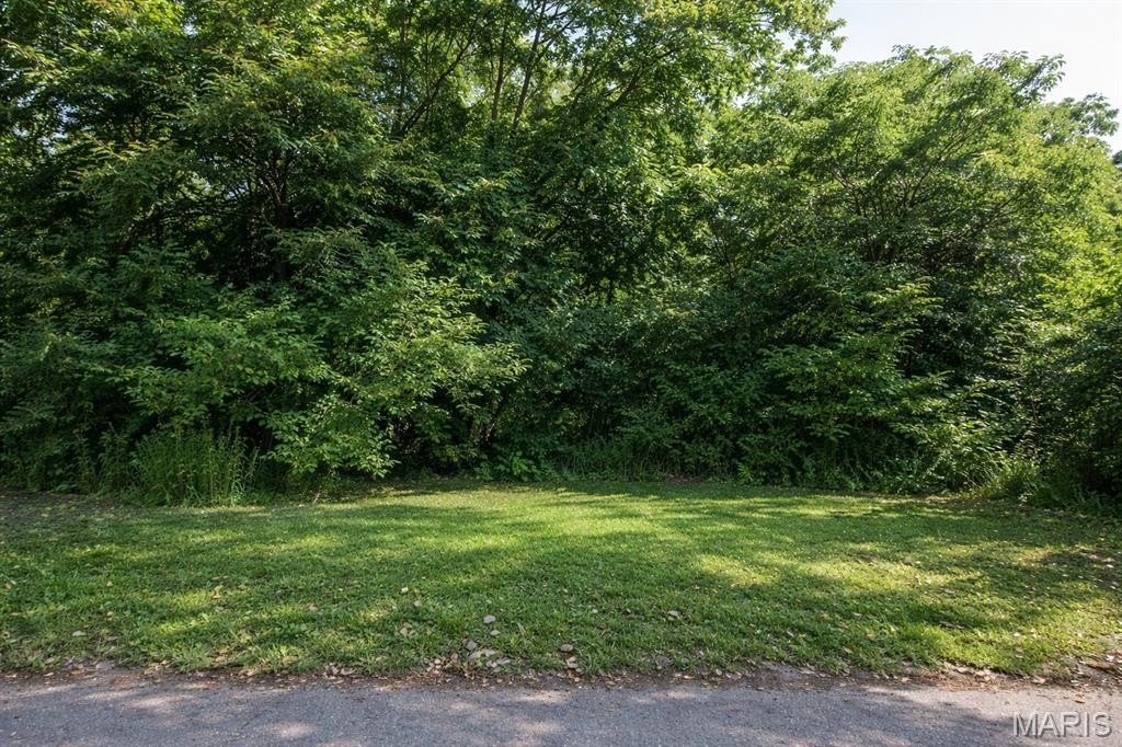 Other - 1704 N 45th Street, East St Louis, IL