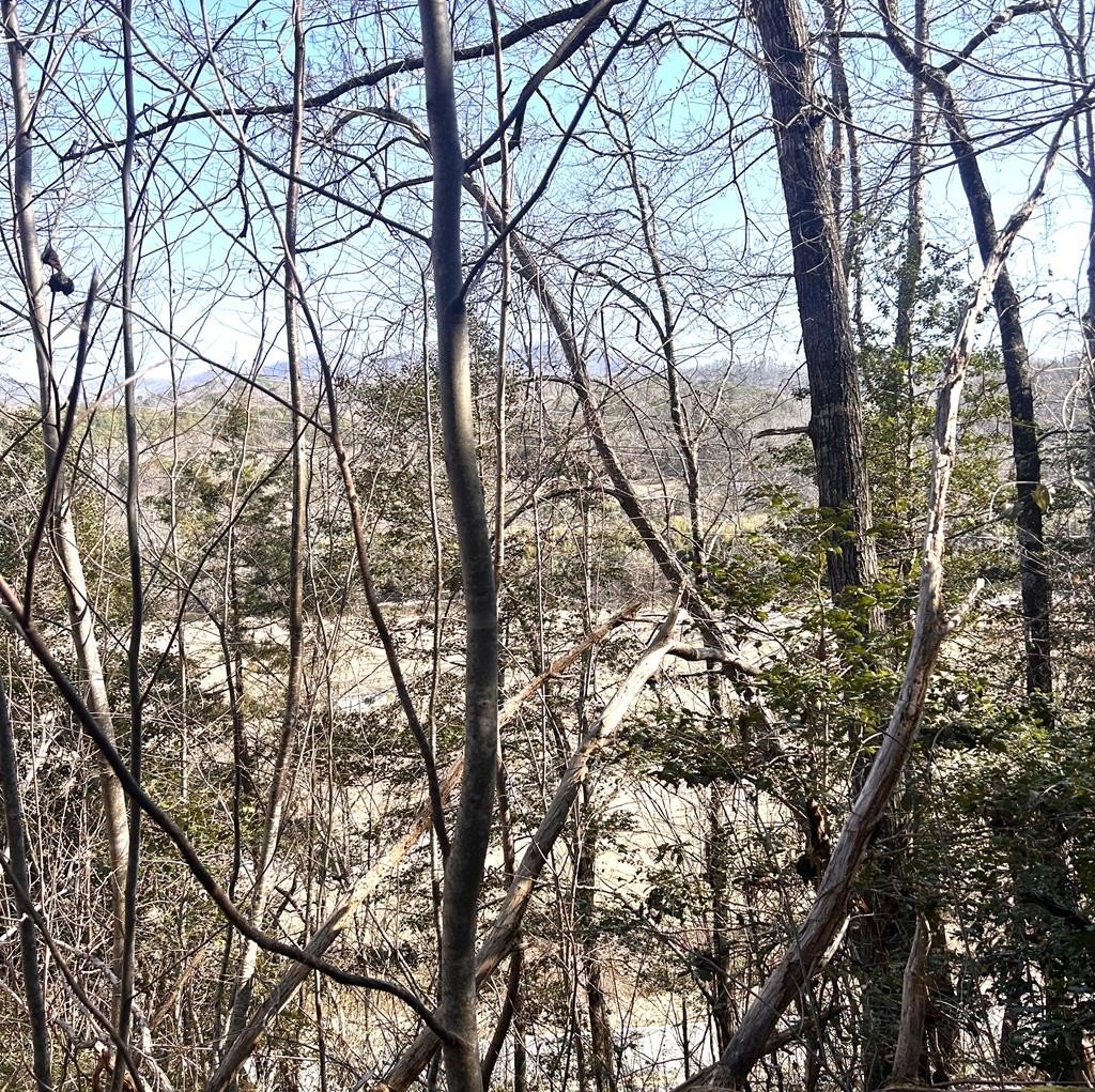 Other - 2&3 Stekoih Hills lot: 2&3, Whittier, NC