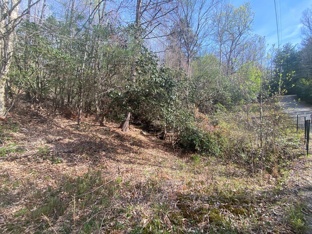 Other - 11 Ludlum Drive, HAYESVILLE, NC