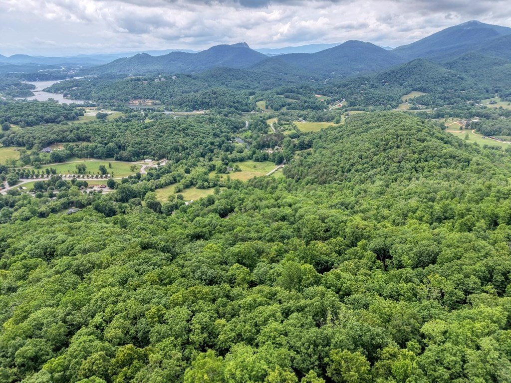Other - 22 Buckhead Hills, Hiawassee, GA