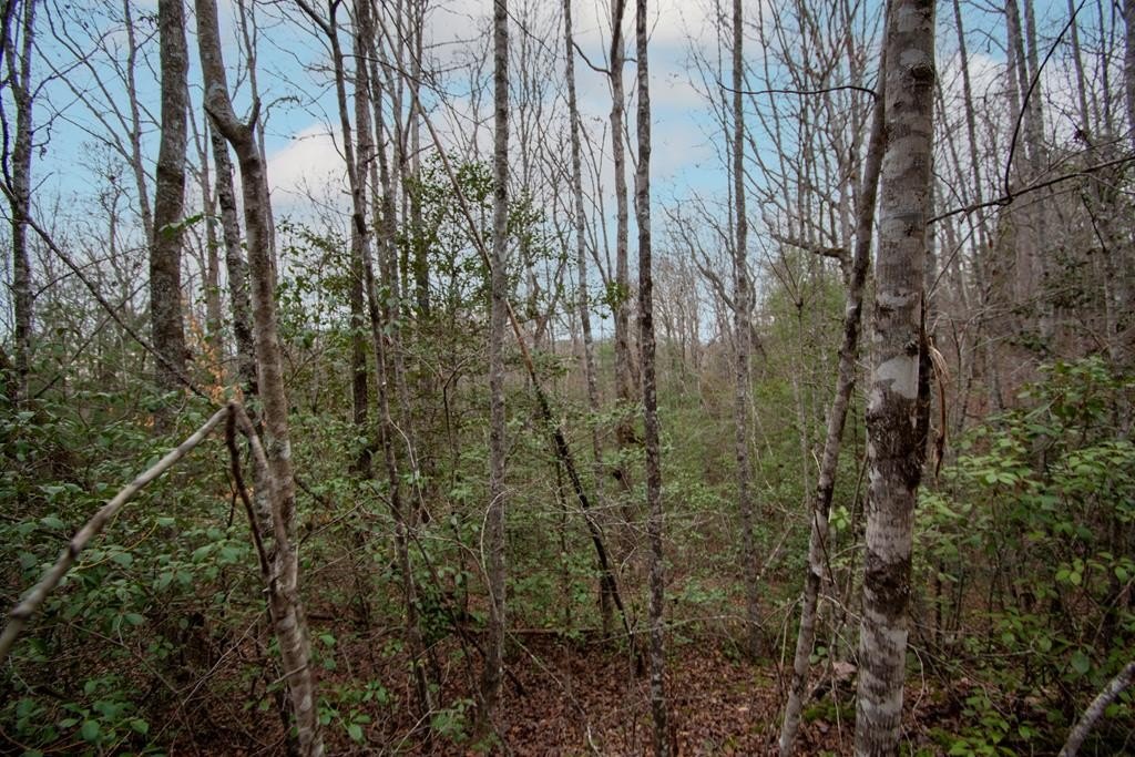 Other - Lot 6 Posey Place, Murphy, NC