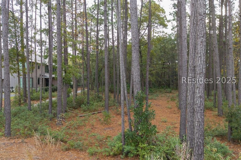 Other - 25 Lupine Road, Bluffton, SC