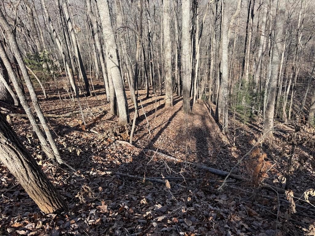 Other - Lot 2 Doc Thomas Ridge Road, Blairsville, GA