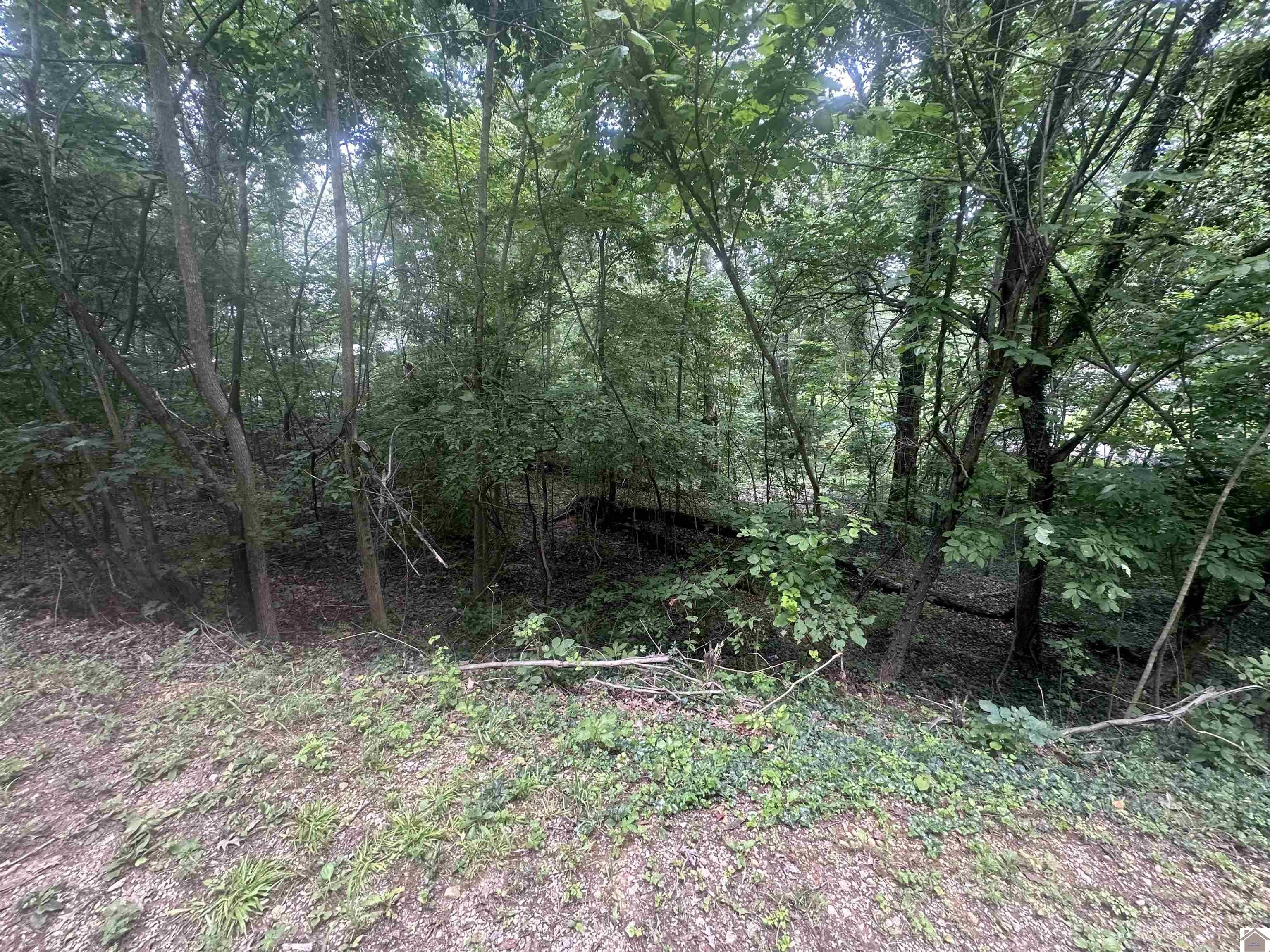 Other - 000 Country Hills Dr., Eddyville, KY