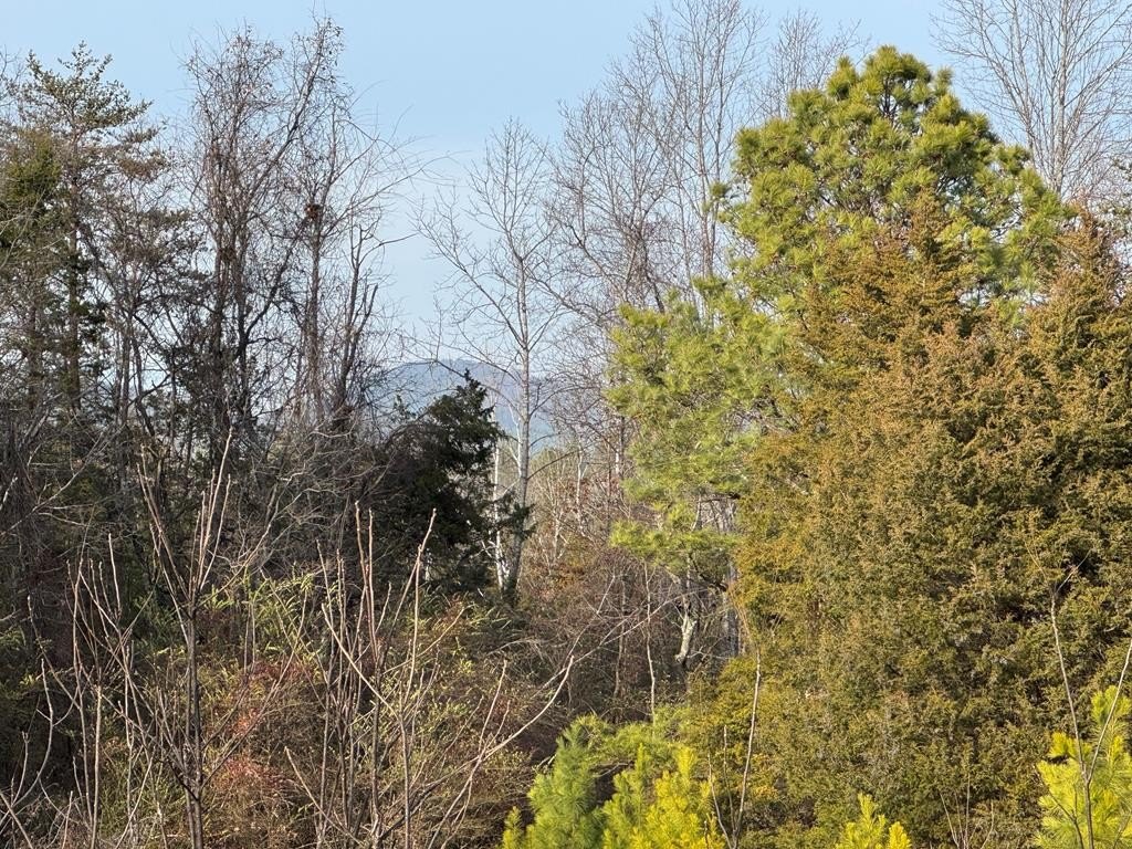 Other - Watt Abbitt Road, Appomattox, VA