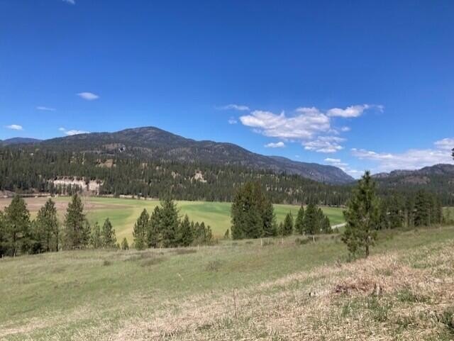 Other - 3500 ROCKCUT RD, KETTLE FALLS, WA