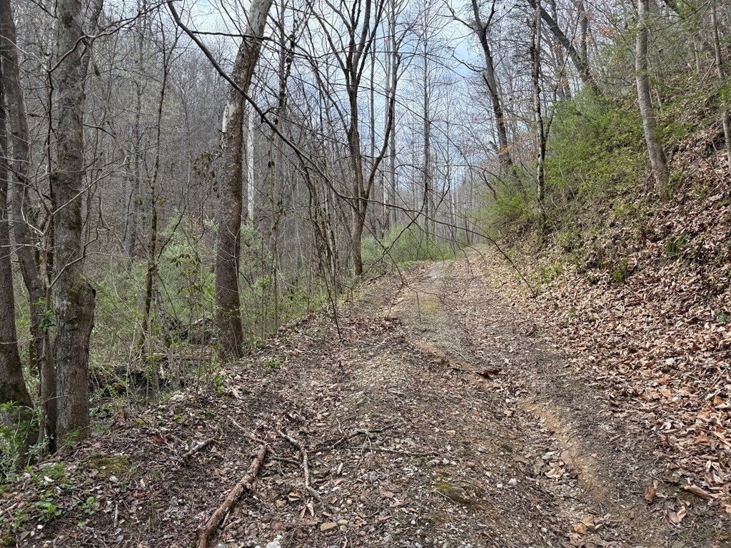 Other - 291 Sugar Camp Road, Robinson Creek, KY