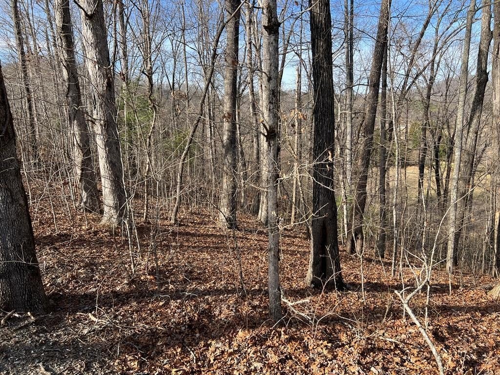 Other - Lot 77A Licklog Ridge, HAYESVILLE, NC
