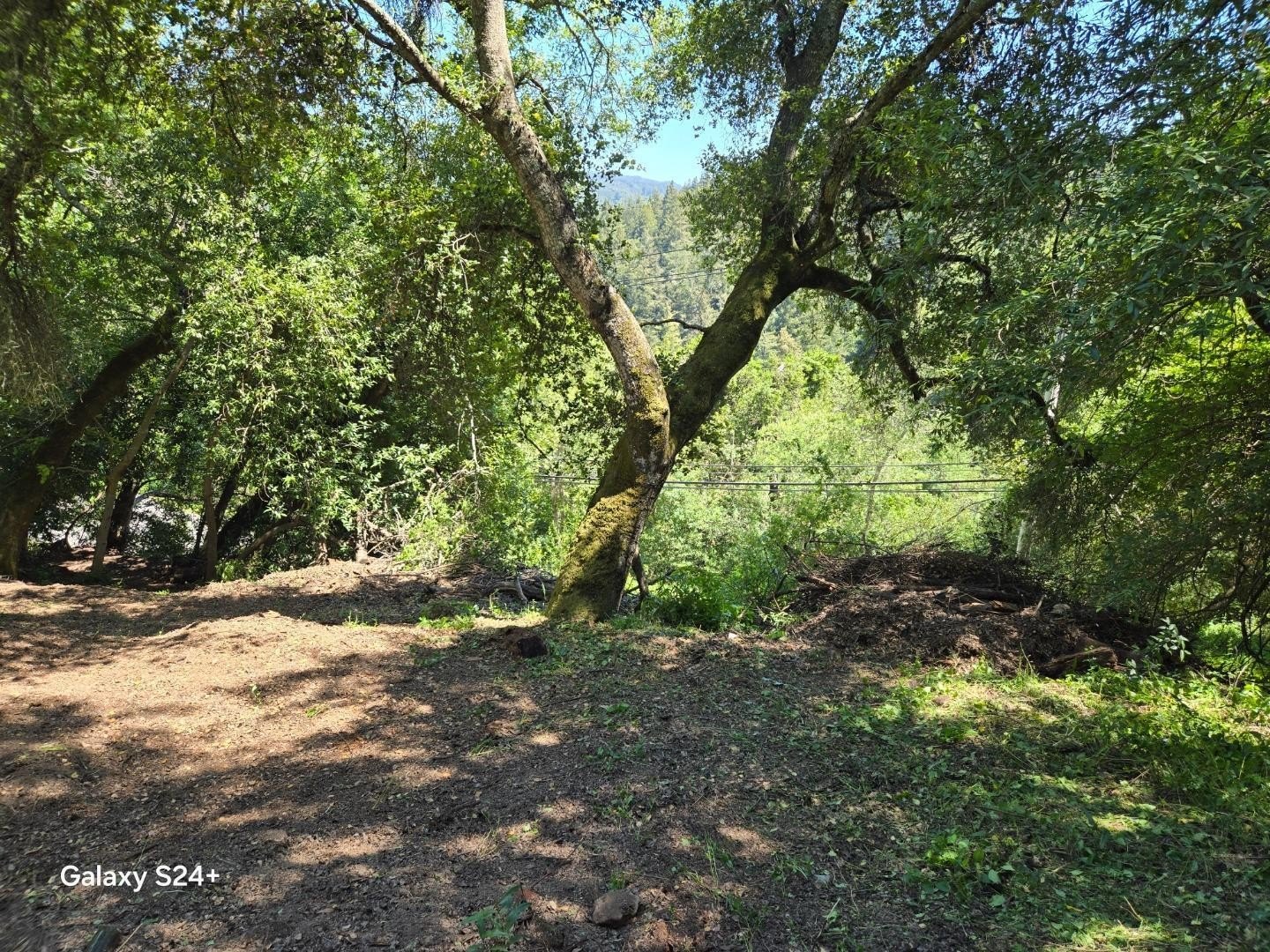 Other - Old Santa Cruz HWY, LOS GATOS, CA