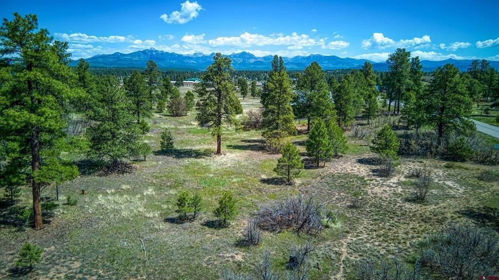 Other - 1362 Cool Pines Drive, Pagosa Springs, CO