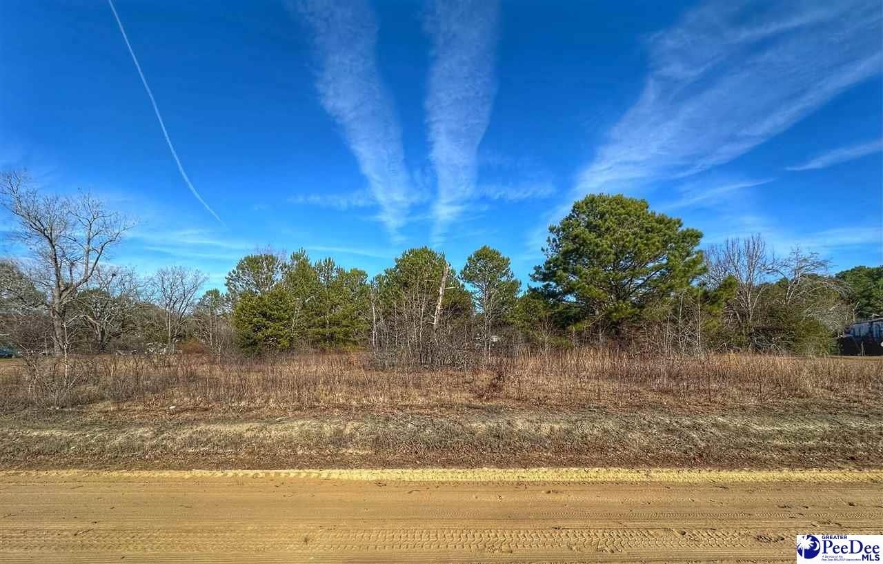 Other - Copeland Moody Road lot: 13, Latta, SC