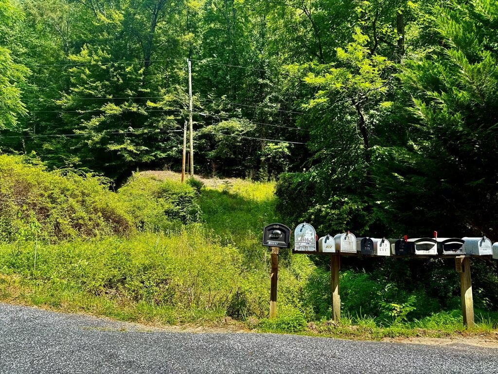 Other - Bradley Branch Road, Whittier, NC