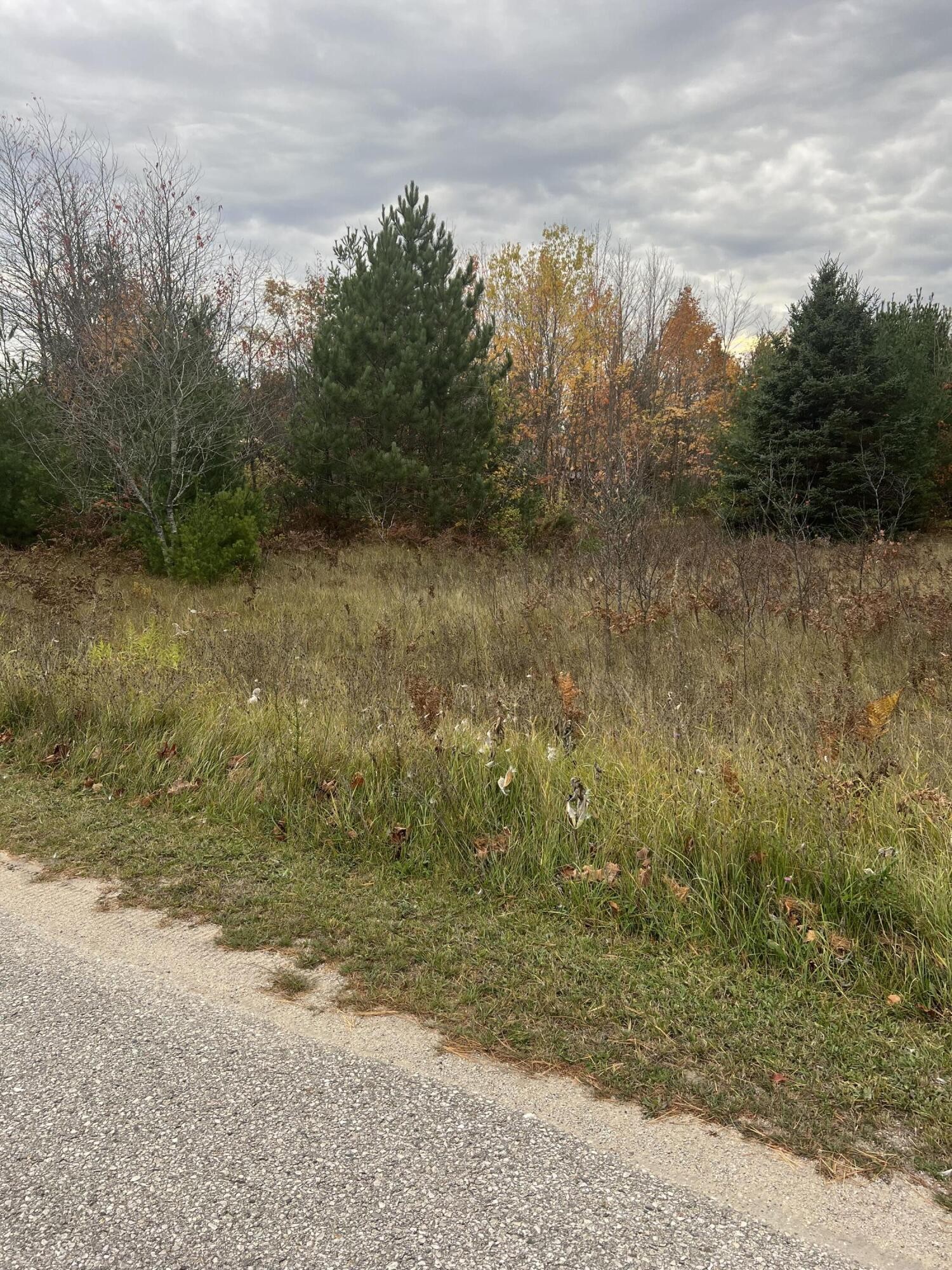 Other - Lot 17 Sherry Lynn Drive, Engadine, MI