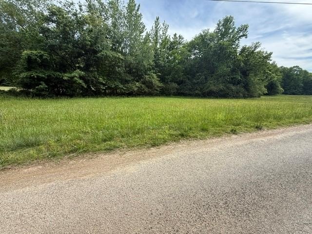 Other - Raintree Dr, BIG SANDY, TN