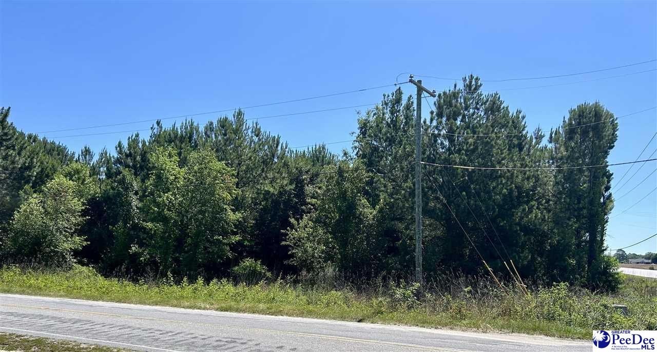 3004 Hwy 9