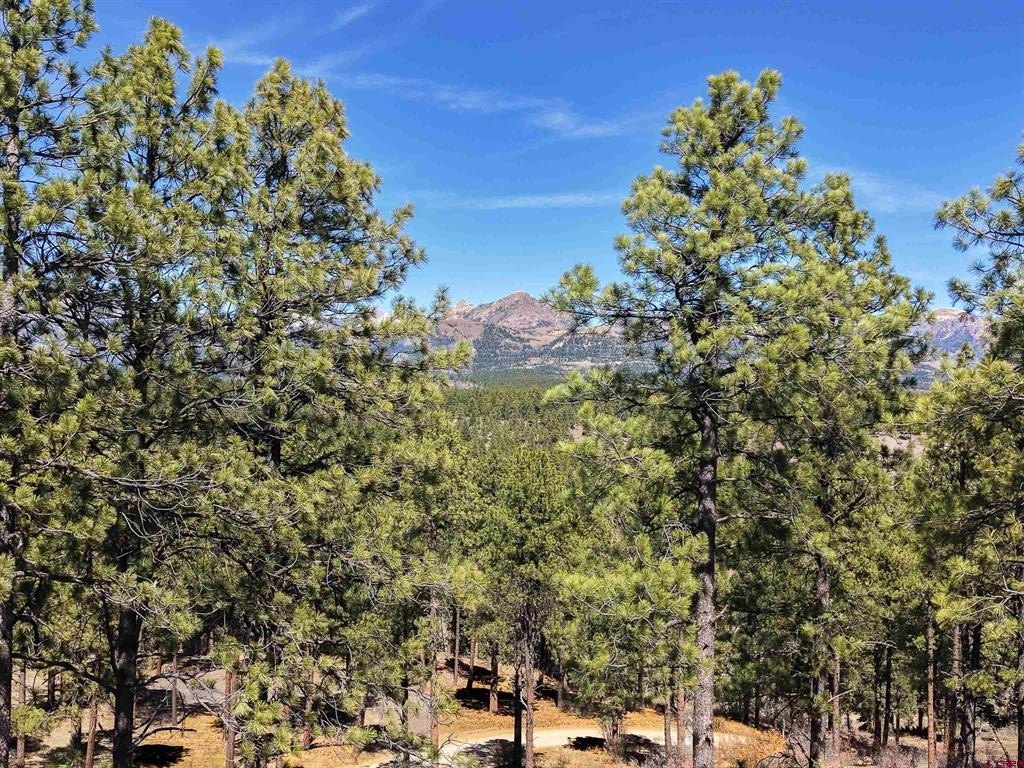 Single Family - Lot 11 Hidden Valley Drive, Pagosa Springs, CO