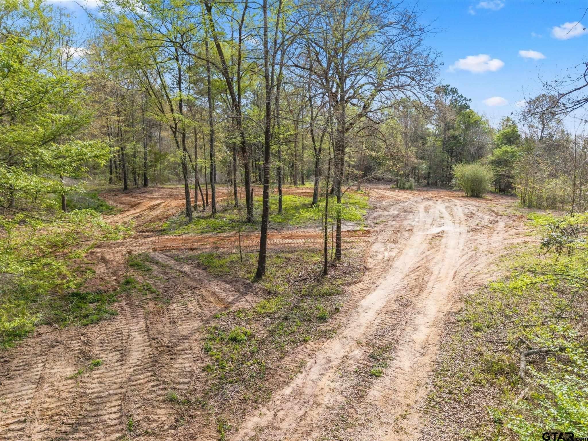 Other - TBD Woodchuck Rd, Pittsburg, TX