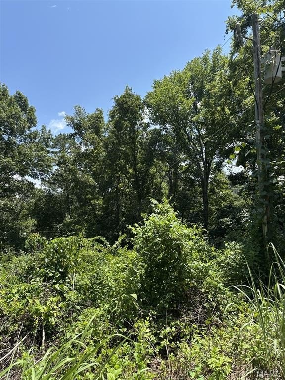 Other - Plat 9 Lot 15, 19 and 22 Deer Run, Van Buren, MO