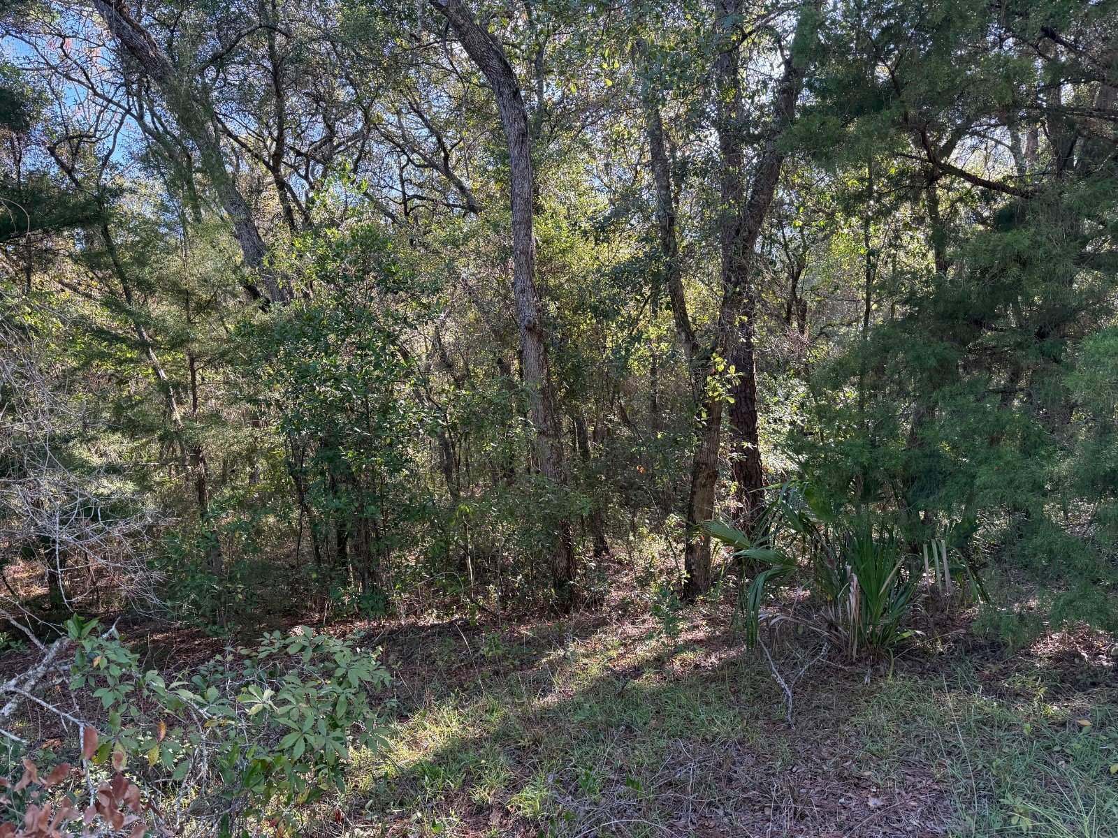 Gustafson Road