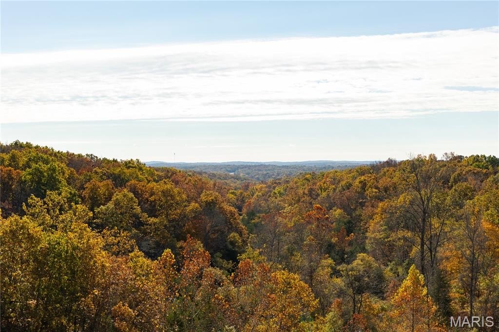 Other - Lot 1i Short Road, Blackwell, MO